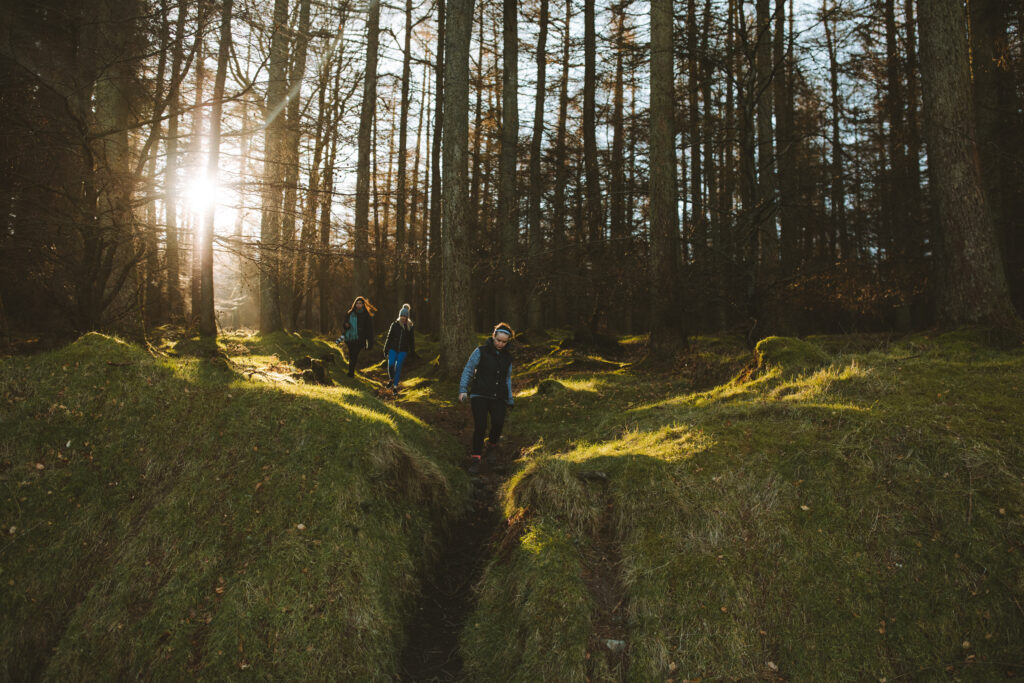 Adults walking in Cruagh Wood at sunrise